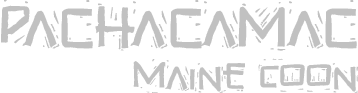 logohome.png